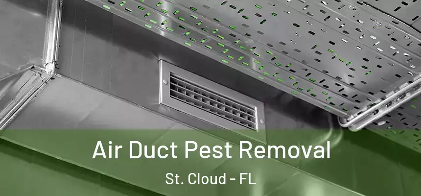 Air Duct Pest Removal St. Cloud - FL