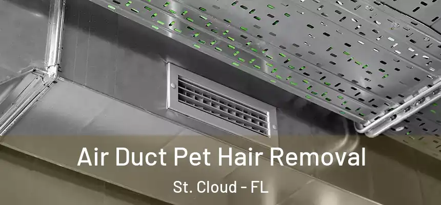 Air Duct Pet Hair Removal St. Cloud - FL