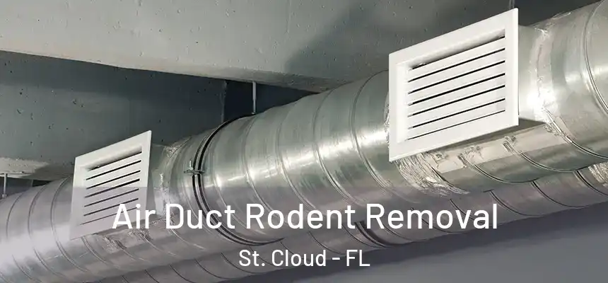 Air Duct Rodent Removal St. Cloud - FL