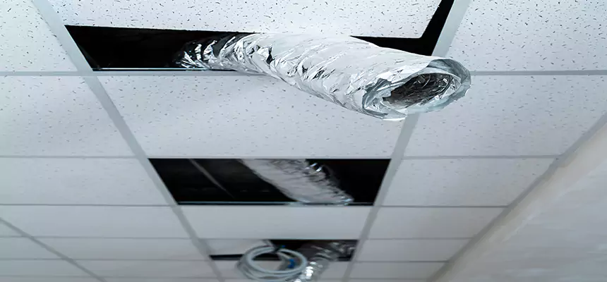 Our Air Duct Pet Hair Removal Services in St. Cloud, FL