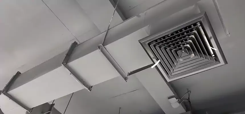 Our Pest Removal From Ducts Services in St. Cloud, FL