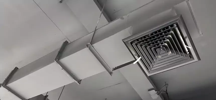 Our Rodent Droppings In Vents Services in St. Cloud, FL