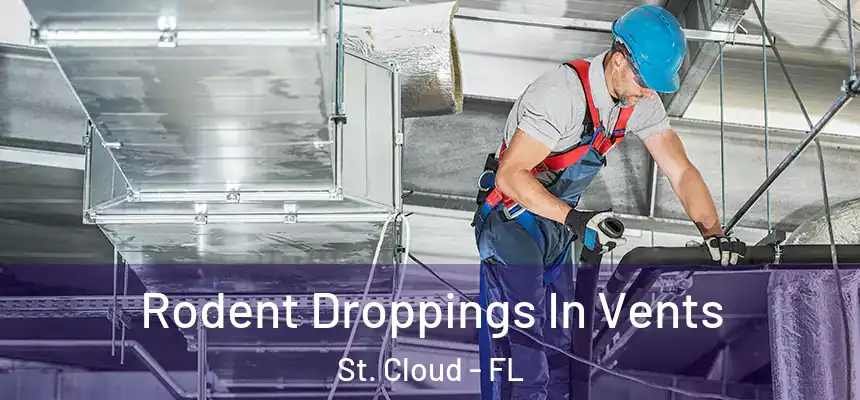 Rodent Droppings In Vents St. Cloud - FL