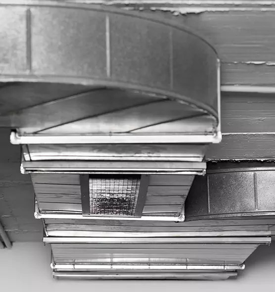 Professional Air Duct Pet Hair Removal in St. Cloud, FL