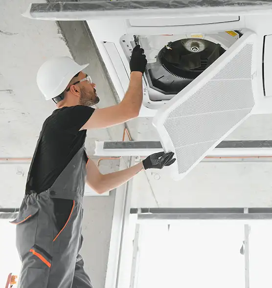 About Air Duct Rodent Removal in St. Cloud, FL