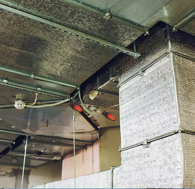 Why Homeowners & Businesses Trust Us in St. Cloud, FL?