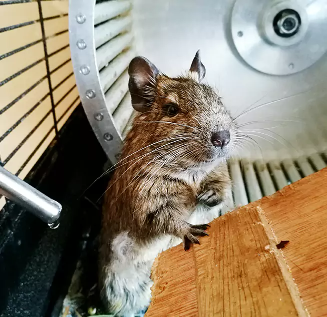 Why Homeowners & Businesses Trust Us St. Cloud, FL