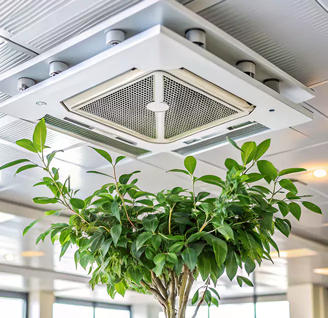 Why Homeowners & Businesses Trust Us in St. Cloud, FL