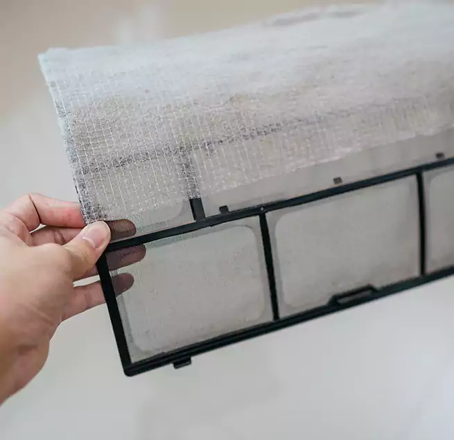 Why Homeowners & Businesses Trust Us in St. Cloud, FL?