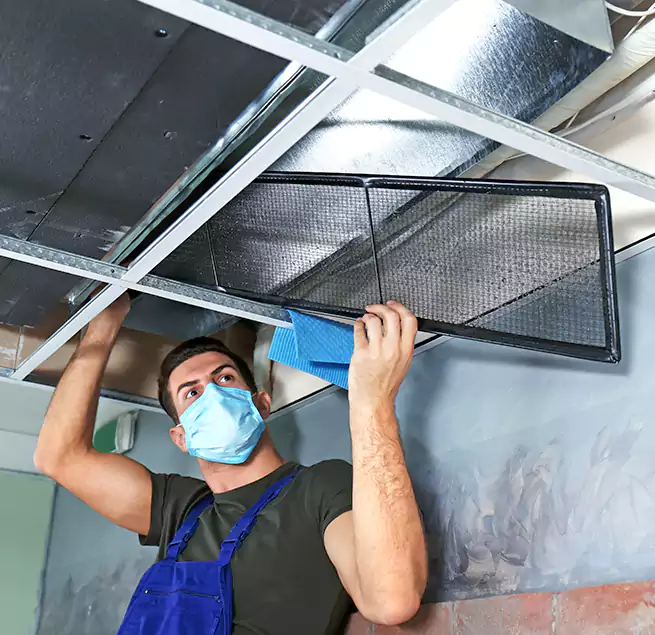 Why Homeowners Businesses Trust Us in St. Cloud, FL